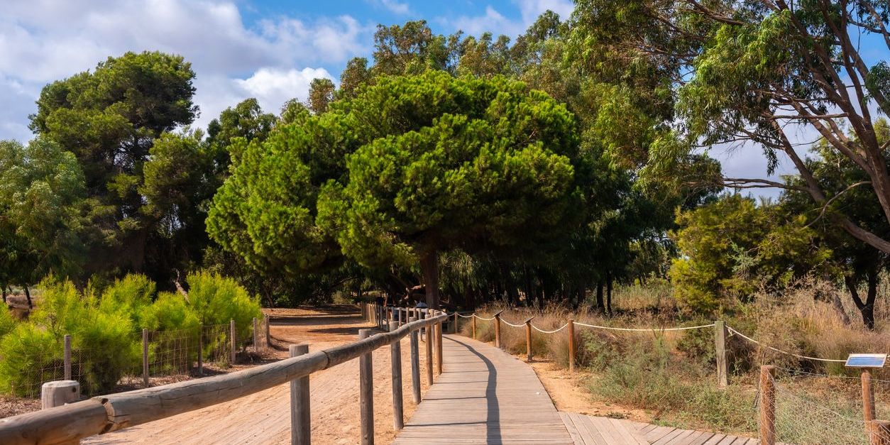 Sendeirsmo-Parque-Natural-de-Las-Lagunas-de-La-Mata-y-Torrevieja